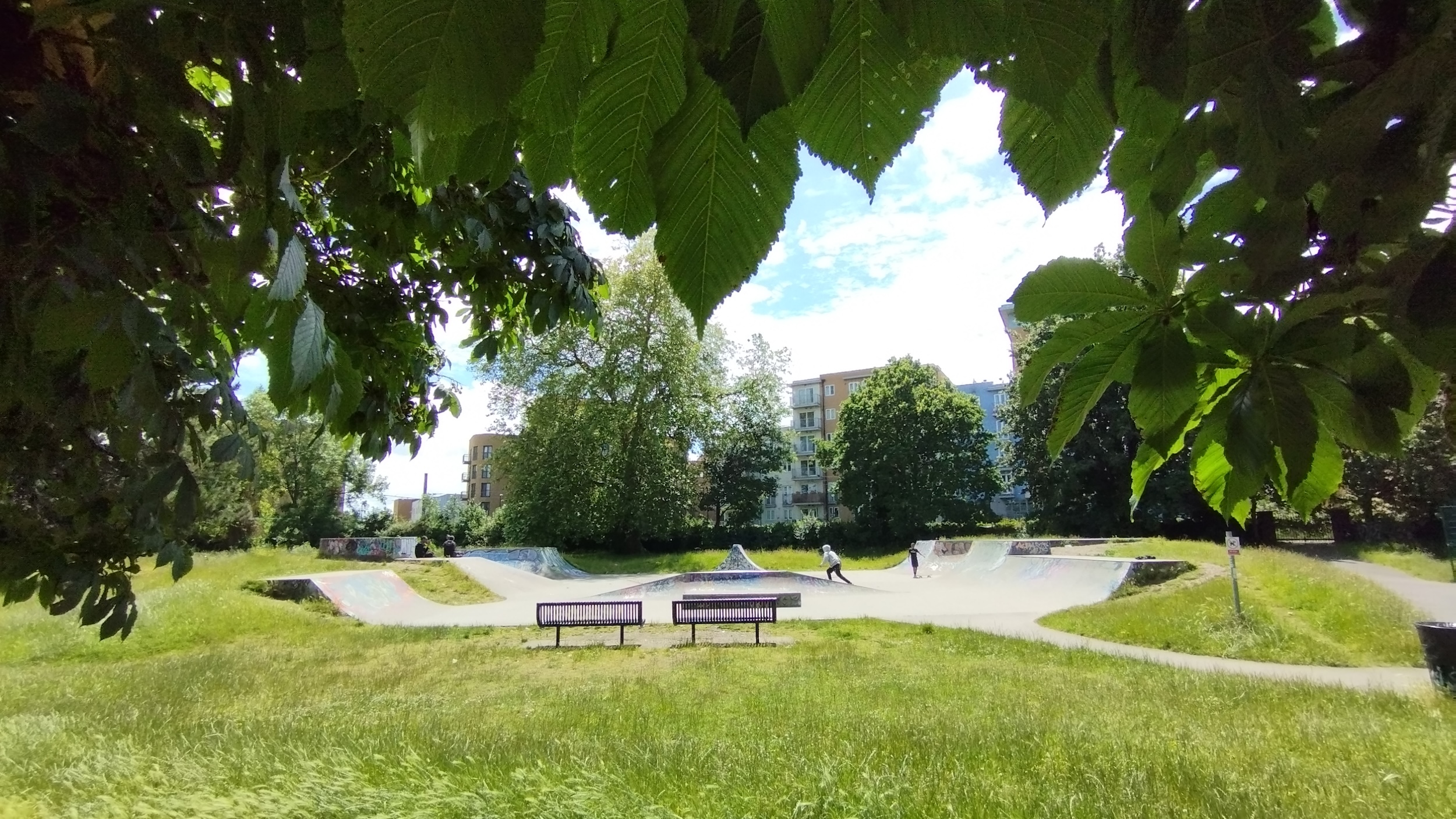 Wandle skatepark